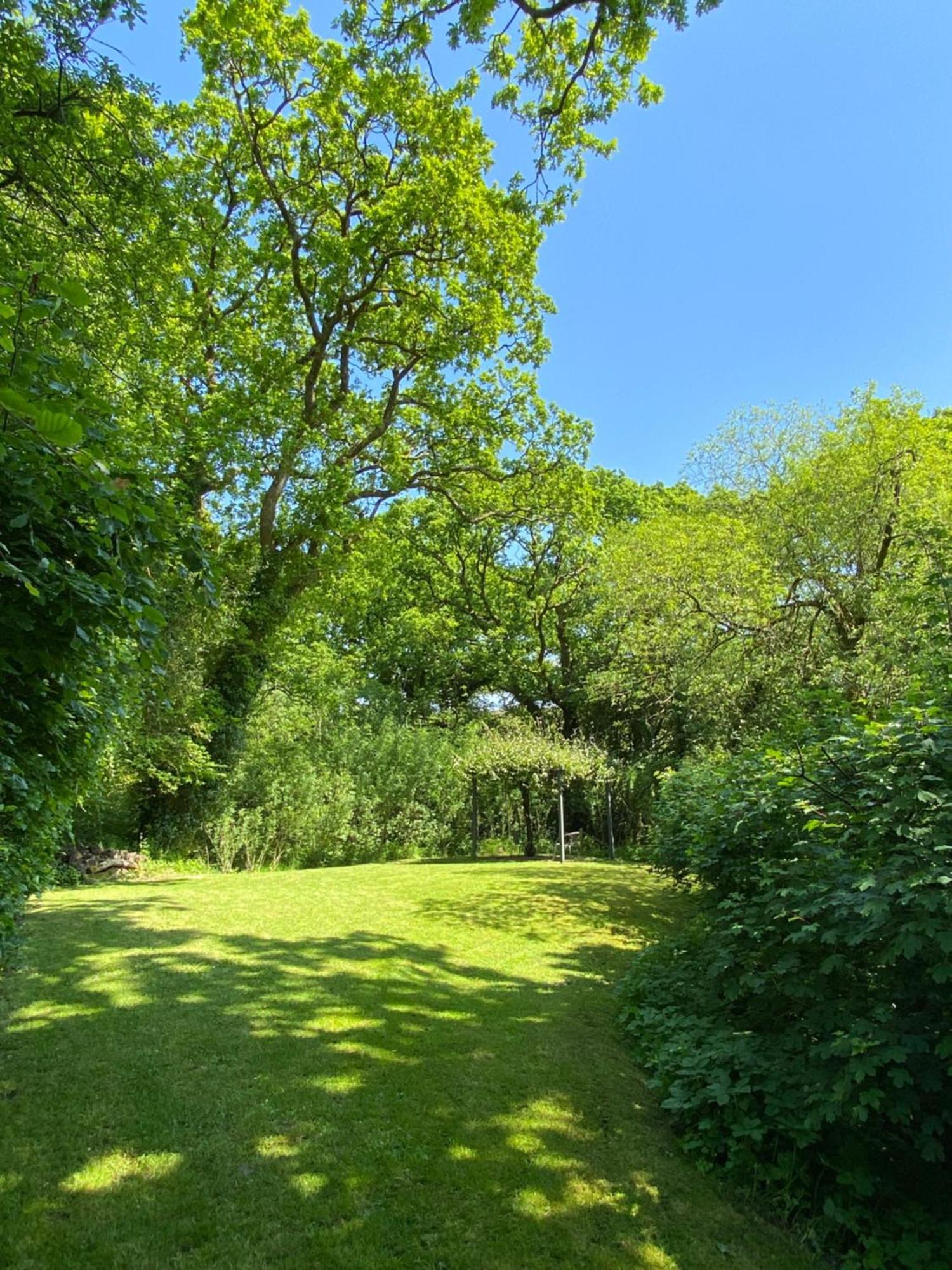 Petrock Holiday Cottages Newton Saint Petrock Bilik gambar